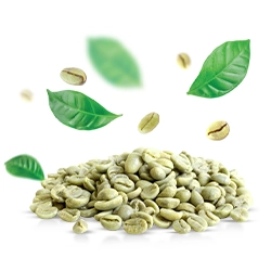 green coffee beans