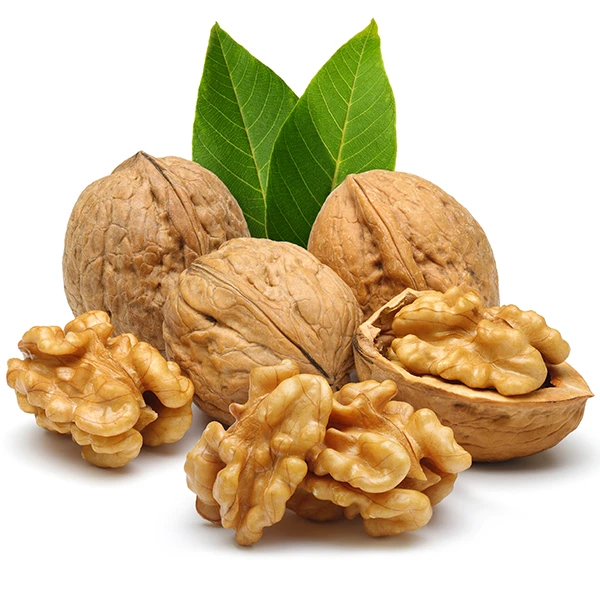 walnut