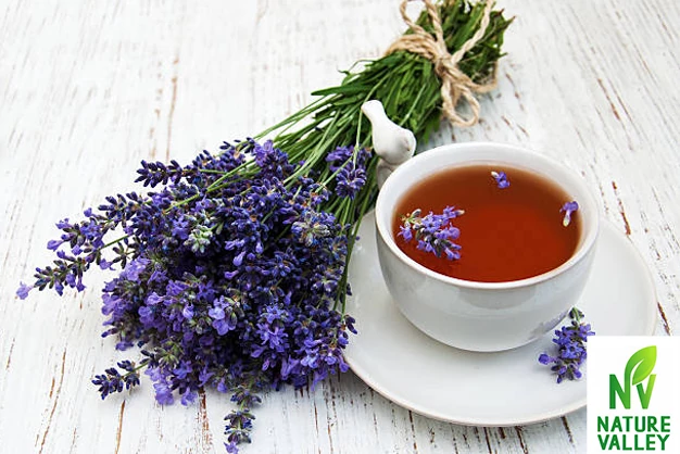 Lavender Tea for headache