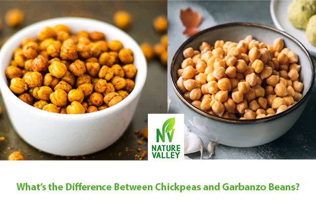  Difference Between Chickpeas and Garbanzo Beans