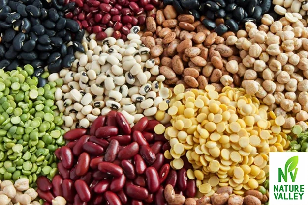 Health Benefits of Legumes