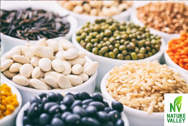 legumes High in Protein