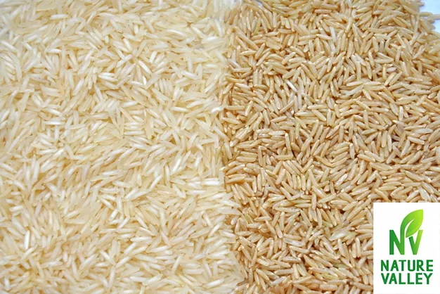 Key Differences Between Basmati Rice and Brown Rice