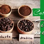 Robusta and Arabica Coffee Beans with brewed cups on rustic background
