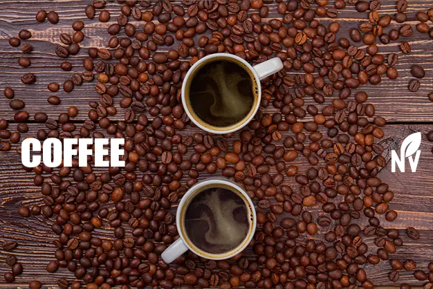 Comparison of Arabica and Robusta coffee in cups
