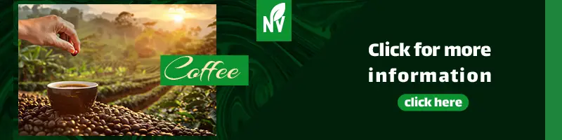 From farm to cup: premium coffee sourcing journey