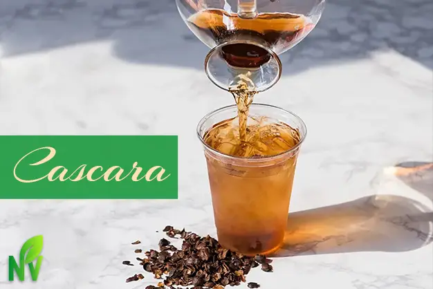 Cascara tea served in a glass cup with dried coffee husks beside it