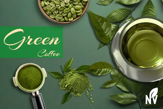 Brewing green coffee step-by-step with powder, filter, and cup