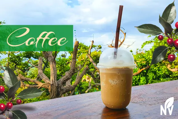 Coffee cherry used in a smoothie and dessert dish